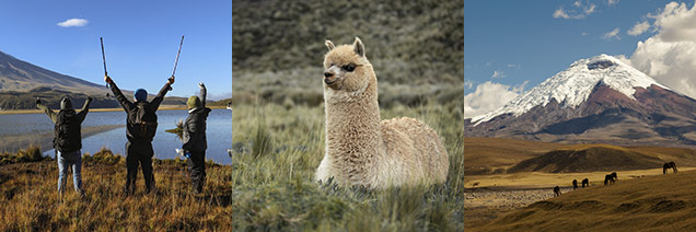 Cotopaxi Day Adventure