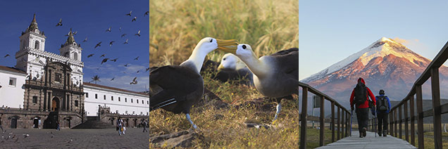 Cotopaxi Day Adventure