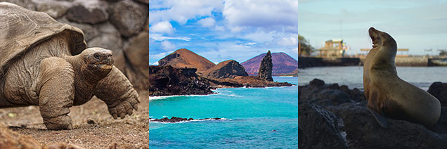 Galapagos Land Extension