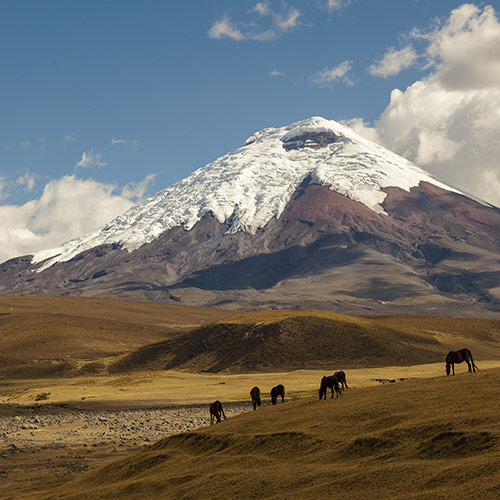 Cotopaxi Volcano