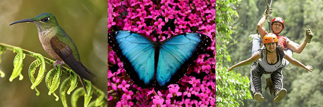 Mindo, a Cloud Forest Wonder