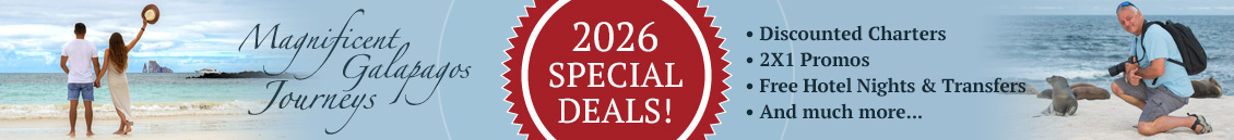 Galapagos Promotions